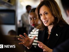 Harris ha entrado rápidamente en la carrera, pero ¿podrá derrotar a Trump?